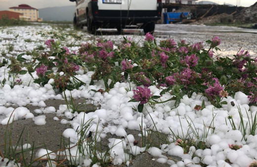 Kars Sarıkamış'ta ceviz büyüklüğünde dolu yağdı! Zor anlar yaşattı