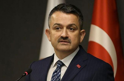 Bekir Pakdemirli açıkladı Su ürünlerinde destek miktarları belli oldu