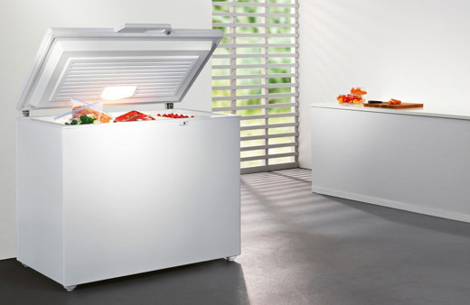 Dondurucuya asla koymamanız gereken 9 yiyecek!