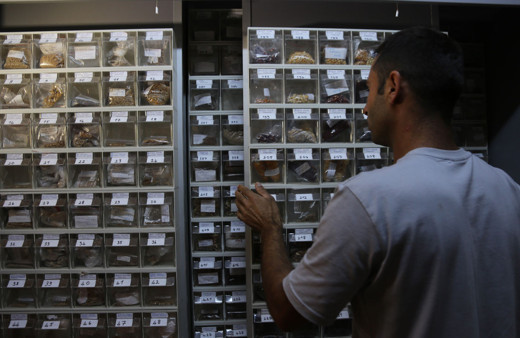 Çocukluğundan beri 1200 çeşit yerli tohum topladı! Nesiller için saklıyor