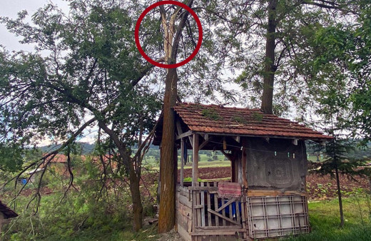 Kütahya'da genç kız oturduğu çardakta yıldırıma yakalandı