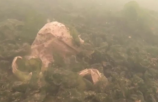 Haliç'teki durumun vahameti gözler önüne serildi!