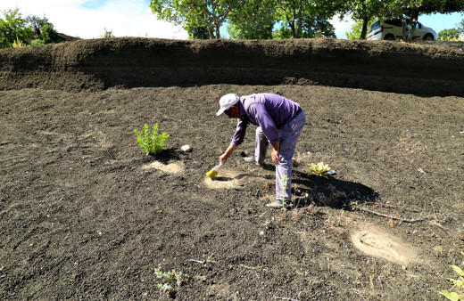 Manisa'da 12 bin yıllık olduğu tespit edilen ayak izlerine köy muhtarı gözü gibi bakıyor