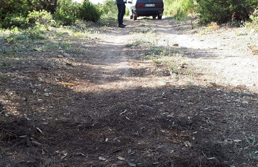 Kütahya'da mantar toplamaya giden vatandaşa 'Ölüm tuzağı' kuruyorlar