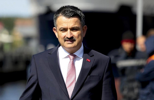 Bakan Bekir Pakdemirli Ankara'daki yangının kontrol altına alındığını duyurdu