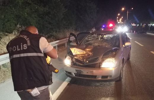 Aydın'da gurbetçi kadın otomobil çarpması sonucu hayatını kaybetti