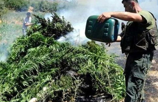 Diyarbakır Lice'de uyuşturucu operasyonu! Yüksek miktarda esrar ele geçirildi