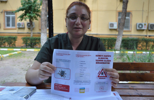 Uzmandan 'Kene' uyarısı: Dizin arkasına,koltuk altına ve kulak içine yapışıyor