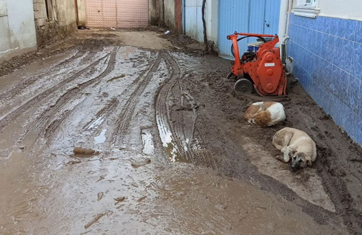 Bursa'da selden en çok etkilenen Dudaklı Mahallesi görüntülendi