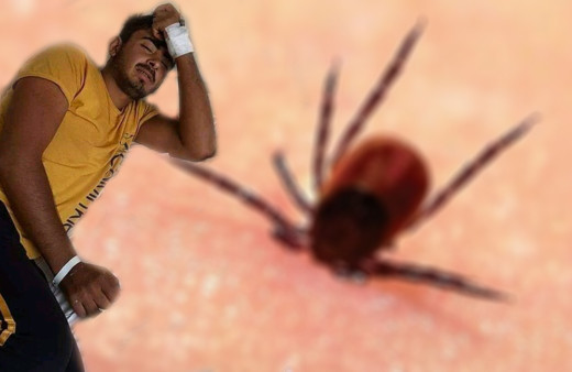 Sivas'ta 18 yaşındaki çoban keneyi kendi çıkardı! Sonu 8 kişiyle aynı oldu