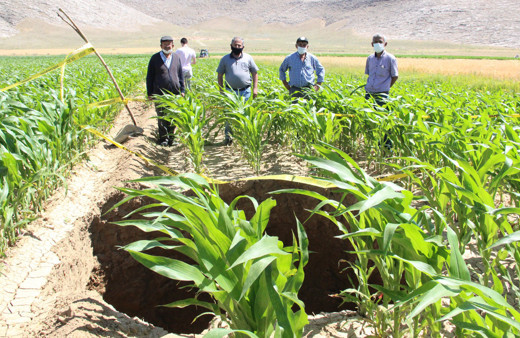 Karaman'da mısır tarlasında oluşan obruk ürküttü derin çukur açıldı