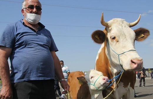 Kurban'da alınacak tedbirler Resmi Gazete'de yayımlandı!