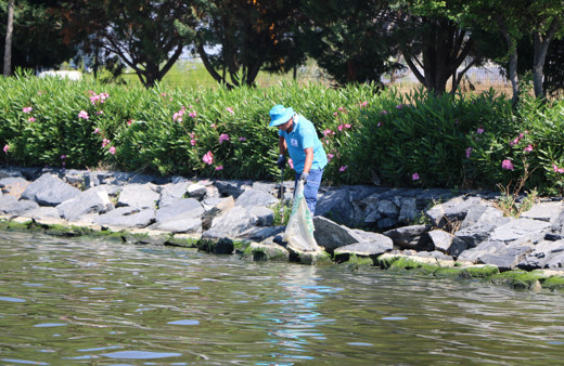 İBB'den Küçükçekmece Gölündeki balık ölümleriyle ilgili açıklama