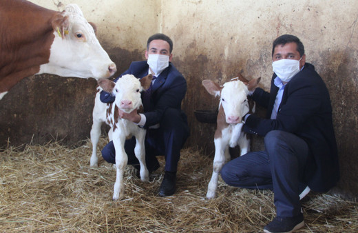 Köyüne kurduğu çiftlikte kazandığı para dudak uçuklatıyor