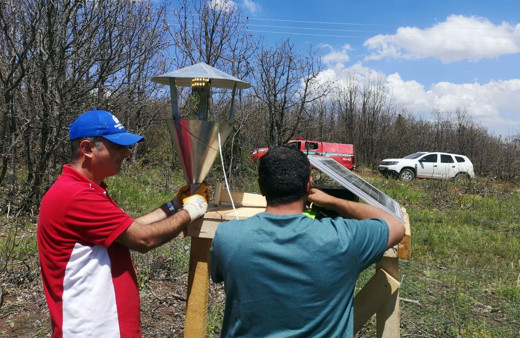 Sivas'ta istilacı tırtıllara karşı 'Sahra' adlı ışıklı tuzak kuruldu