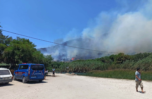 İzmir ve Muğla’da peş peşe korkutan orman yangınları