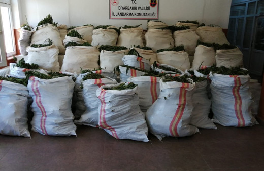 Diyarbakır'da 14 günde 3 ton esrar ve 28 milyon kök Hint keneviri ele geçirildi