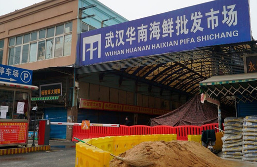 Koronavirüs yedi yıl önce Çin’deki bir madende mi ortaya çıktı?