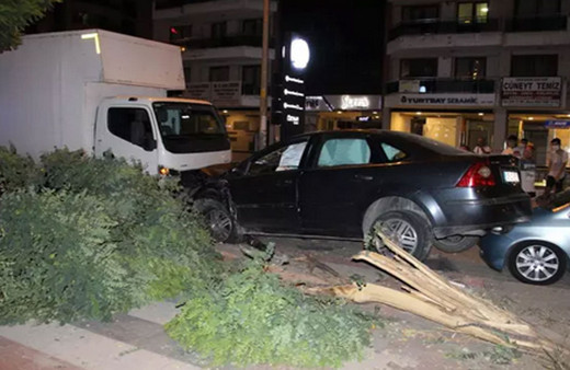 Kediye çarpmamak için park halindeki araçlara çarptı