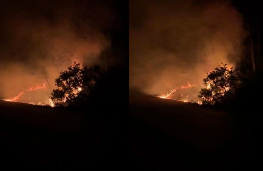 İstanbul Sarıyer'de orman yangını çıktı