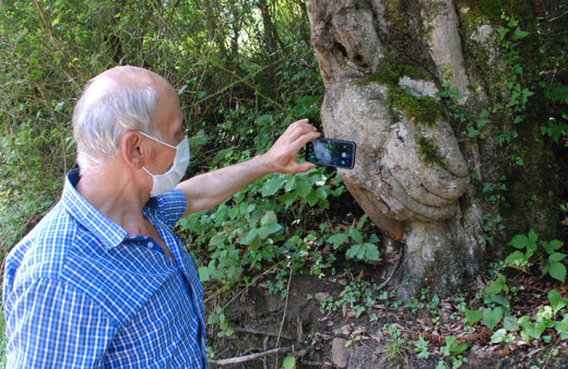 Bartın'da ağacın gövdesinde oluşan el figürü görenleri şaşırtıyor