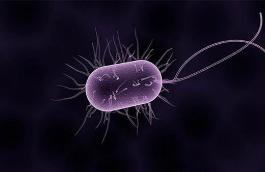 "Beyin yiyen amip gözden bulaşabiliyor" Yüzünüzü yıkadığınız suya dikkat!