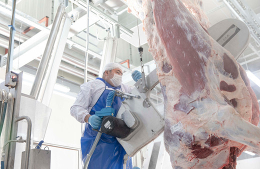 Konya'da pandemi sürecine uygun hijyenik kurban kesimi