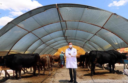 Migros kurban fiyatları 2021 küçükbaş/büyükbaş fiyat listesi