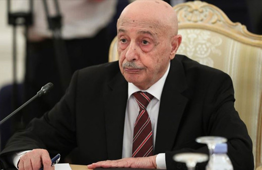 Libya'da Hafter yanlısı Tobruk Temsilciler Meclisinden Mısır'a askeri müdahale çağrısı