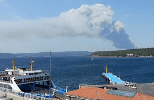 Çanakkale'de orman yangını çıktı! Alevlere müdahale ediliyor