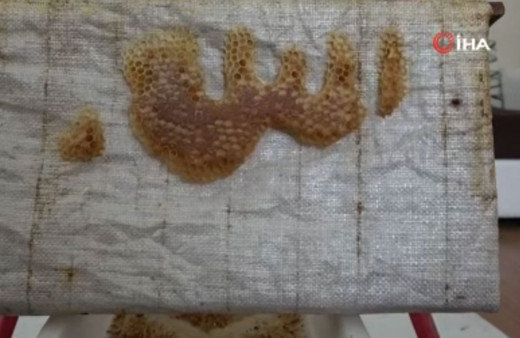 Görenler gözlerine inanamadı! İşte arıların işlediği 'Allah lafzı'