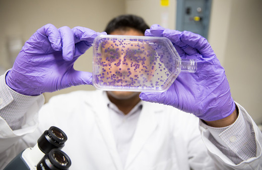 Türk Bilim insanlarından önemli çalışma! Antikanser hücresi keşfedildi