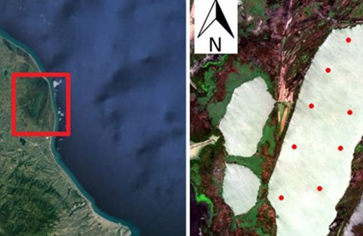 Su kaynaklarındaki kirlilik uydudan takip edilebilecek