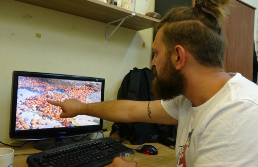 Çanakkale'de korkutan görüntüler! Yüzlerce uğur böceği öldü