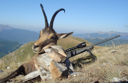 Dağ keçisi avlama ihalesinden sonra 203 liraya avcılık kursu