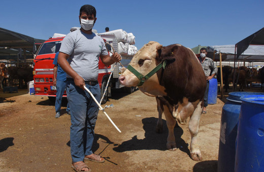 'Adanalı Ronaldo' 27 bin liraya satıldı