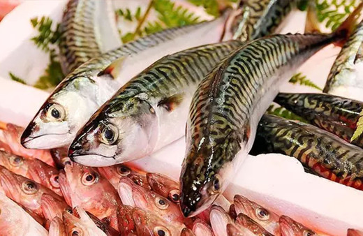 Bu nasıl fiyat? Uskumrunun fiyatı halde 3.5, restoranda 110 lira