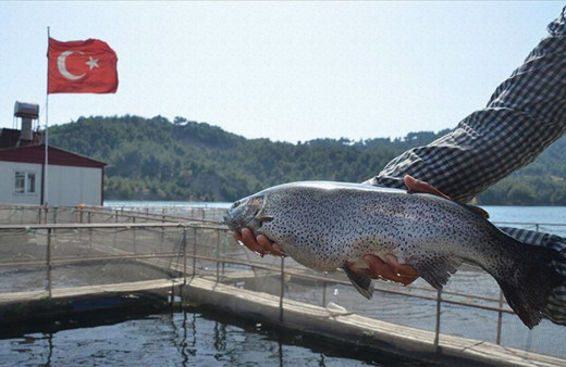 Denizi olmayan Kahramanmaraş'tan 25 milyon dolarlık balık ihracatı