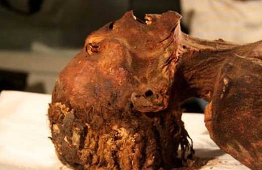 Bilim adamları cevabını buldu! 'Çığlık atan mumya'nın gizemi çözüldü