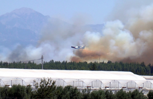Antalya'da orman yangını! Yangında 1.5 hektarlık alan zarar gördü
