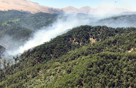 Isparta'da orman yangını! Alevlere anında müdahale edildi