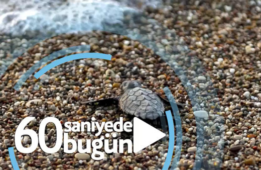 60 saniyede bugün (22 Temmuz 2020)