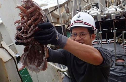 Okyanusun dibinde bugüne kada görülen en büyük dev hamam böceği keşfedildi