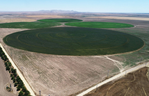 Konya'da çok ilginç tarlalar! Uzaylılar değil Konyalılar yaptı bakın sebebi ne
