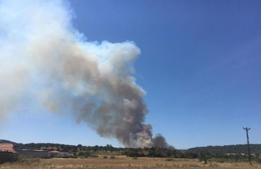 Çanakkale'de orman yangını