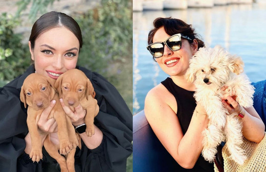 Ezgi Mola şiddet gören öldürülen tüm canlar için açtı ağzını yumdu gözünü