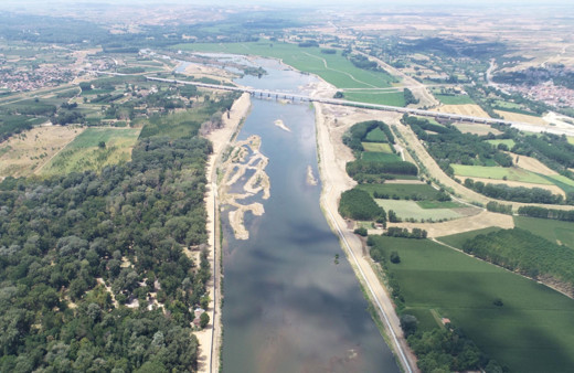 Bulgaristan'da Meriç'ten su içen hayvanlar ölünce Türkiye de önlem aldı