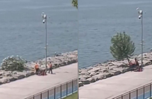 'İBB, Florya sahilindeki ağaçları kesti' iddiası! İBB'den açıklama geldi