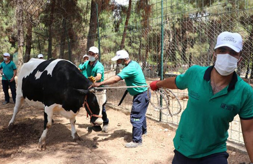 Sağlık Bakanlığı uyardı! Bayramda yapılması gerekenler neler?