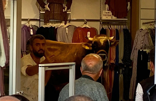 Bursa'da kaçan boğa giyim mağazasını birbirine kattı